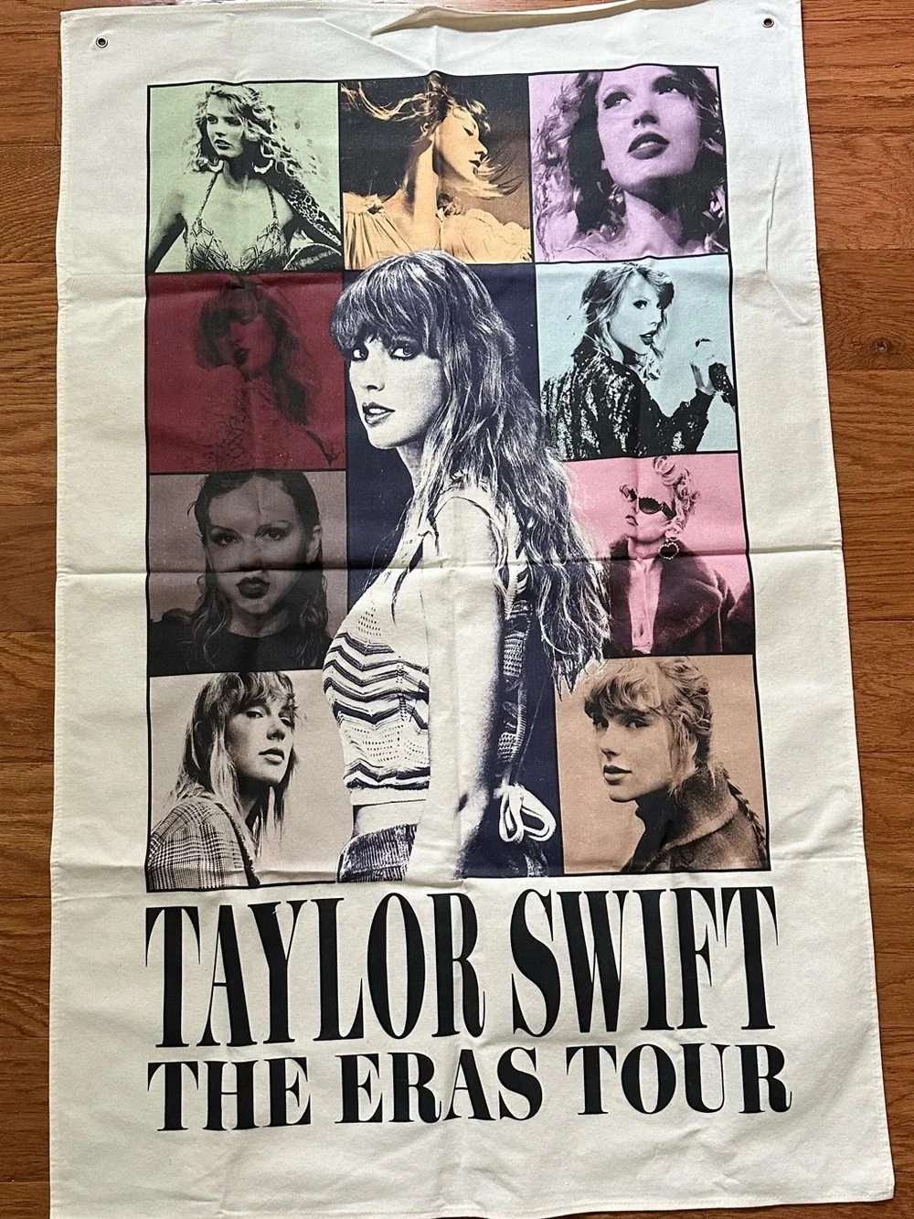 Taylor Swift Eras Tour Fabric Poster